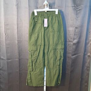 Wild fable Green Cargo Pants
